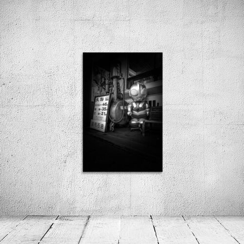 Art Prints